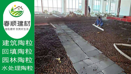 江西濾料廠家供應水處理沉水生物陶粒 輕質(zhì)粘土陶?！?></a></div>
                    <div   id=